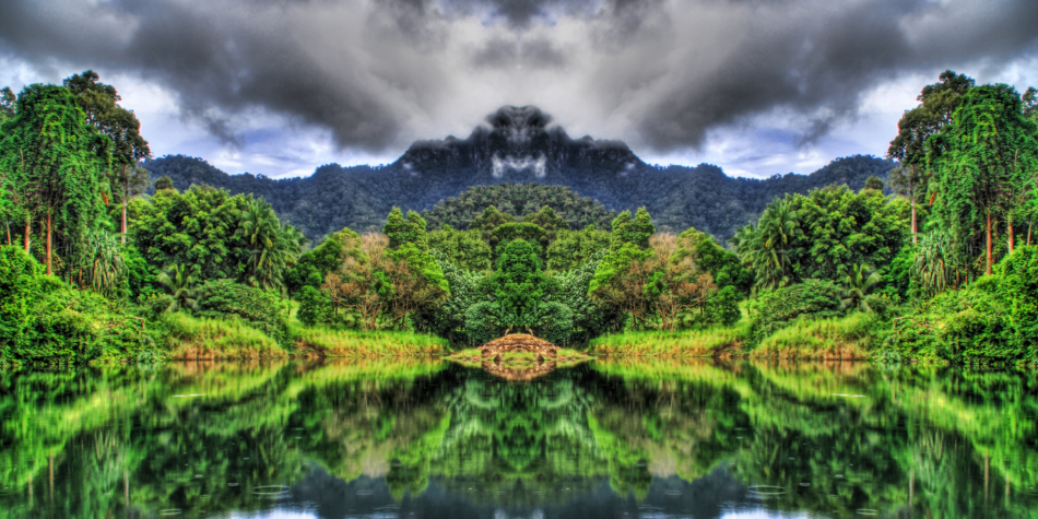 Jungle